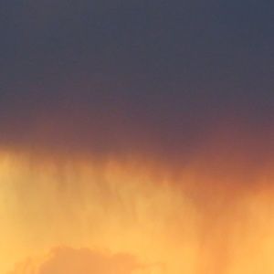 Meet your Posher, Liz